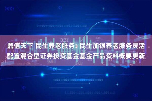 鼎信天下 民生养老服务: 民生加银养老服务灵活配置混合型证券投资基金基金产品资料概要更新