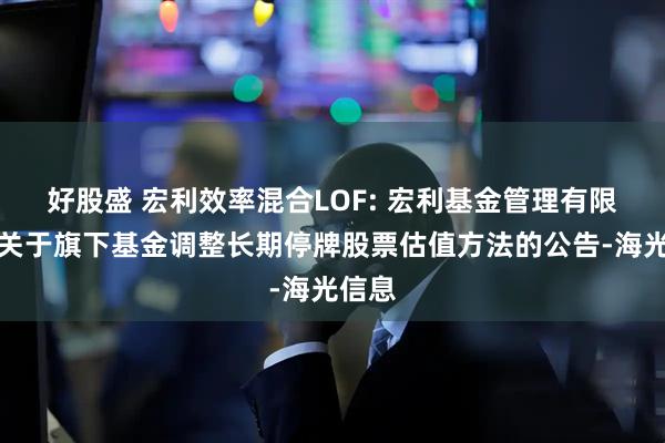 好股盛 宏利效率混合LOF: 宏利基金管理有限公司关于旗下基金调整长期停牌股票估值方法的公告-海光信息