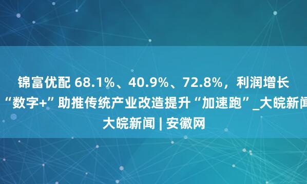 锦富优配 68.1%、40.9%、72.8%，利润增长！“AI+”“数字+”助推传统产业改造提升“加速跑”_大皖新闻 | 安徽网