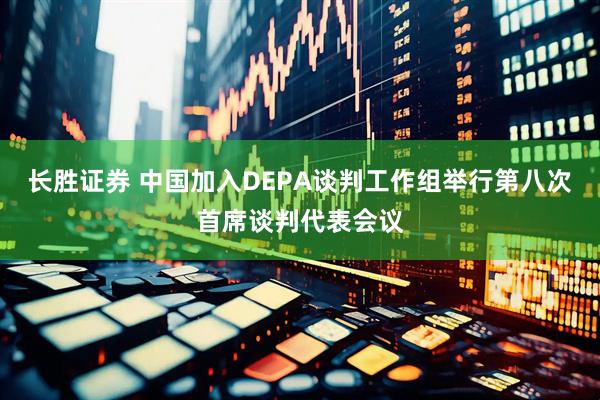 长胜证券 中国加入DEPA谈判工作组举行第八次首席谈判代表会议
