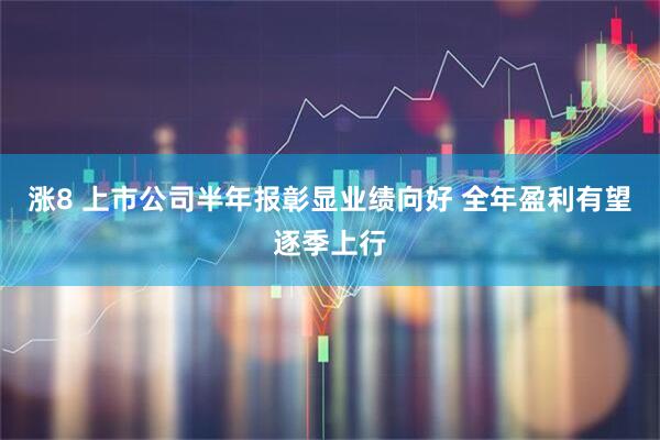 涨8 上市公司半年报彰显业绩向好 全年盈利有望逐季上行