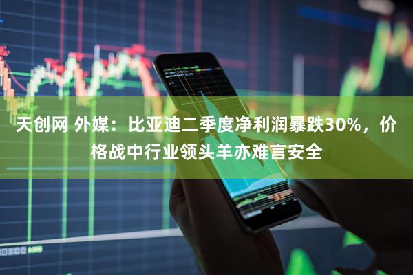 天创网 外媒：比亚迪二季度净利润暴跌30%，价格战中行业领头羊亦难言安全