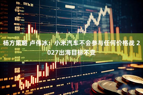 杨方策略 卢伟冰：小米汽车不会参与任何价格战 2027出海目标不变