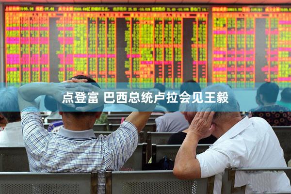 点登富 巴西总统卢拉会见王毅